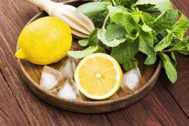 Limonata - limon, nane, için malzemeler üzerinde ahşap tepsi içinde buz bir 
