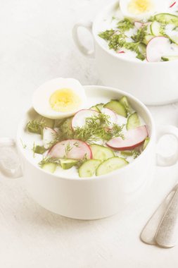 Kefir (yoğurt), salatalık, rad ile geleneksel soğuk Rus çorbası