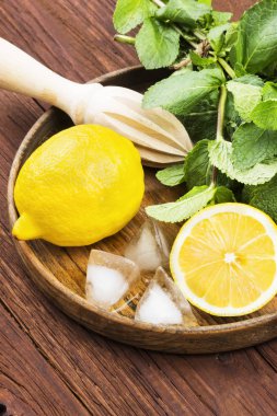 Limonata - limon, nane, için malzemeler üzerinde ahşap tepsi içinde buz bir 