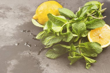 Limonata - limon, nane karanlık bir arka plan üzerinde için malzemeler. Polis