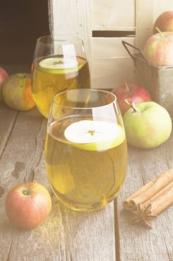 Elma suyu cam tarçın ve anisetree bir karanlık woode üzerinde