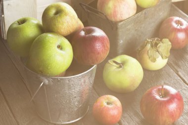 Koyu ahşap arka plan üzerinde metal kovada çeşitli olgun elma.