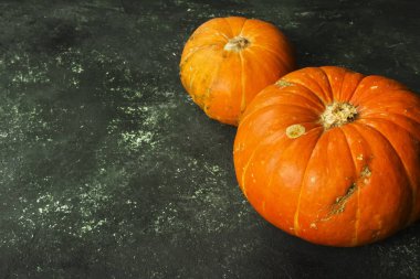 Olgun kabak yeşil bir arka plan üzerinde. Uzay kopyalayın. Gıda arka plan