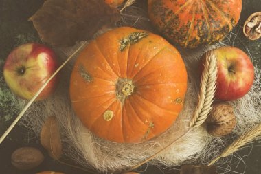 Sonbaharda hasat - kabak, elma, fındık, buğday koyu bir backgr tarihinde