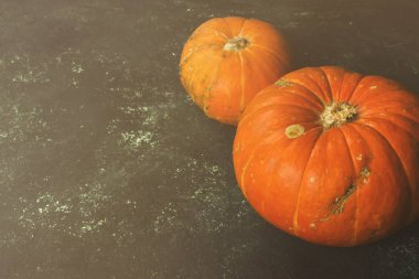 Olgun kabak yeşil bir arka plan üzerinde. Uzay kopyalayın. Gıda arka plan