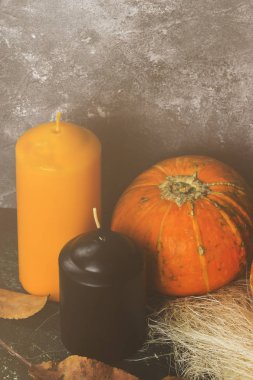 Olgun pumpkins, yeşil bir arka plan üzerinde turuncu ve siyah mum. Hedef