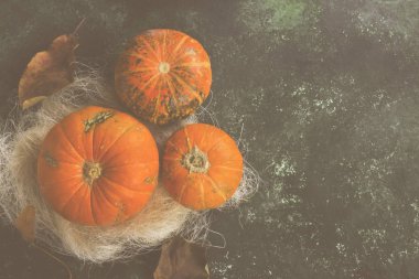 Olgun kabak yeşil bir arka plan üzerinde. Görünümü en çok, uzay kopyalayın. Gıda 