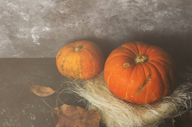 Olgun kabak yeşil bir arka plan üzerinde. Uzay kopyalayın. Gıda arka plan