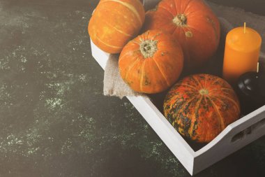 Olgun pumpkins, yeşil bir arka plan üzerinde turuncu ve siyah mum. Co