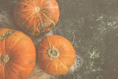 Olgun kabak yeşil bir arka plan üzerinde. Görünümü en çok, uzay kopyalayın. Gıda 