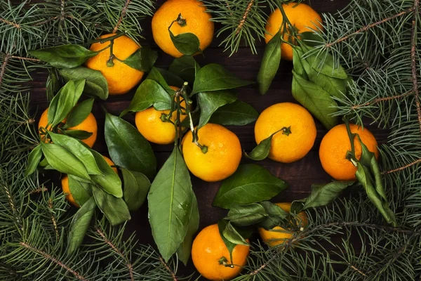 Christmas symbols - fir-tree and tangerines on a dark wooden bac — Stock Photo, Image