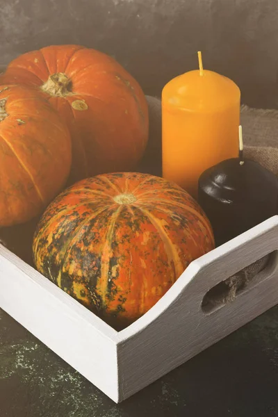 Olgun pumpkins, bir beyaz ahşap tepsi üzerinde turuncu ve siyah mum