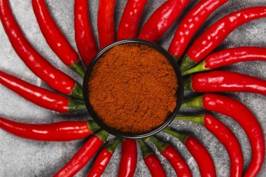 Gri bir arka plan üzerinde kırmızı acı biber. Üstten Görünüm. Gıda arka plan