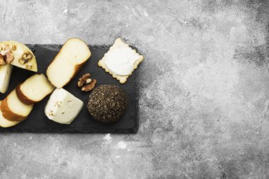 Gri bir arka plan üzerinde peynir türleri. Üstten Görünüm, kopya spa