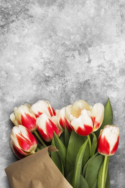 Bouquet of white pink tulips on a gray background. Top view, cop — Stock Photo, Image