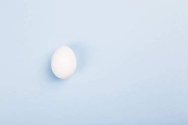 Beyaz mavi arka plan üzerinde yumurta. Üstten Görünüm, kopya alanı