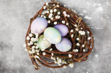 Yuva gri backgr çiçekler ile çok renkli yumurta Paskalya için