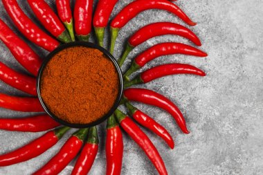 Gri bir arka plan üzerinde kırmızı acı biber. Görünümü en çok, uzay kopyalayın. Gıda 