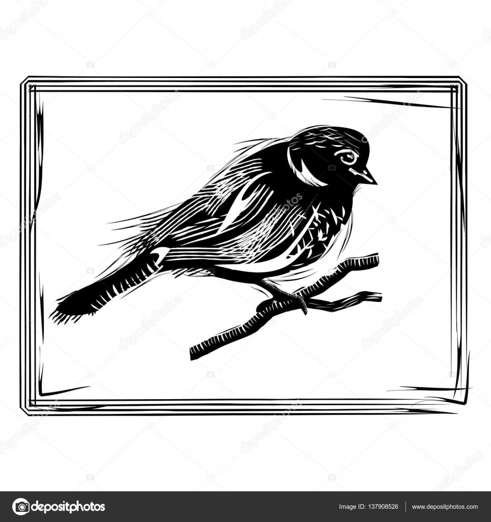 Croquis De Loiseau Noir Et Blanc Image Vectorielle