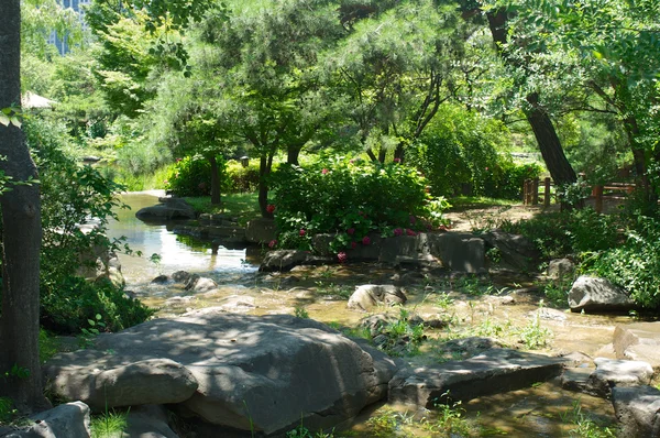 Yeouido Park en Seúl en verano, Corea del Sur —  Fotos de Stock