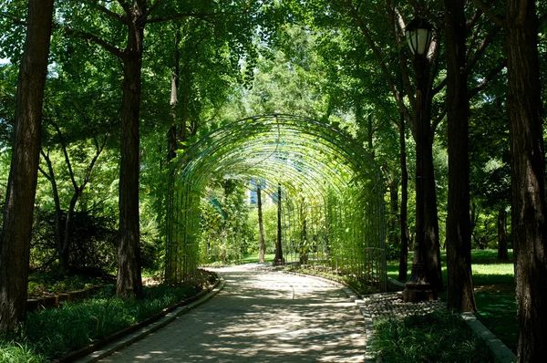 Yeouido Park en Seúl en verano, Corea del Sur —  Fotos de Stock