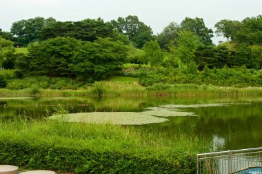 Yaz, Güney Kore Seul Olimpiyat Parkı