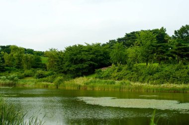 Yaz, Güney Kore Seul Olimpiyat Parkı