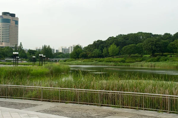 Parque Olímpico en Seúl en verano, Corea del Sur — Foto de Stock