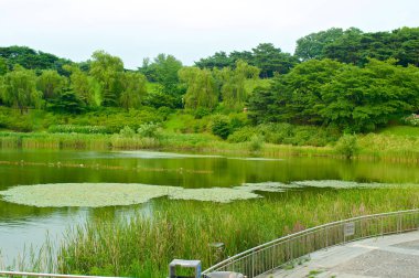 Yaz, Güney Kore Seul Olimpiyat Parkı