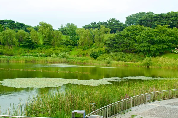 Yaz, Güney Kore Seul Olimpiyat Parkı