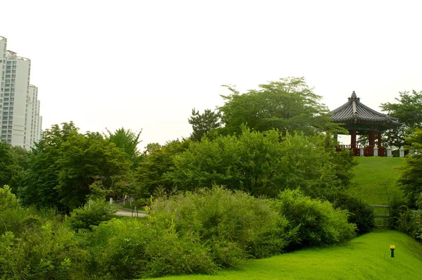 Parque Olímpico en Seúl en verano, Corea del Sur — Foto de Stock