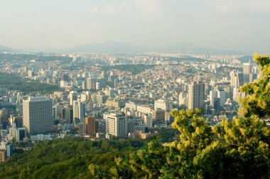 Yaz aylarında üstten Seoul şehir cadde görünümü