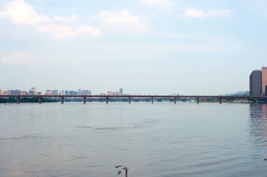 Akşam ları Seul'de martılarla nehir asmak