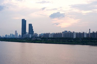 Akşam ları Seul'de martılarla nehir asmak