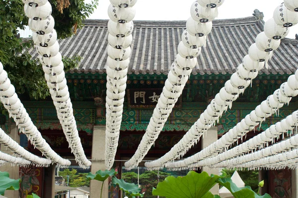 Filas Faroles Blancos Templo Seúl Corea Del Sur —  Fotos de Stock