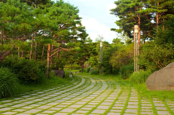 Park Bij Nationaal Museum Seoul Zuid Korea — Stockfoto