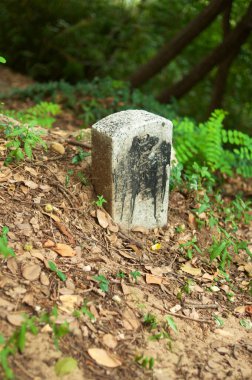 Güney Kore 'de yaz aylarında Gimhae' de kraliyet mezarı