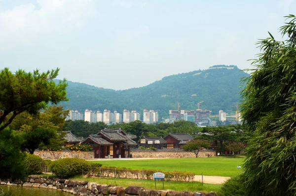한국의 김혜지에 — 스톡 사진