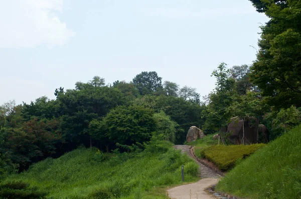 Koninklijke Tombe Gimhae Zomer Zuid Korea — Stockfoto