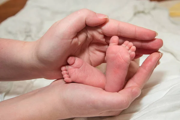 Маленькие Ножки Каблуки Новорожденного Схватили Держат Руки Матери Ребенка — стоковое фото