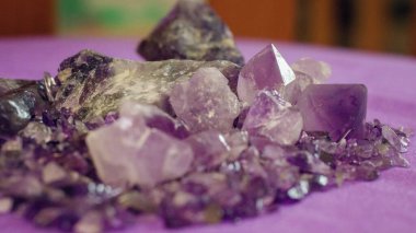 Farklı cins ve boyutlarda metistler