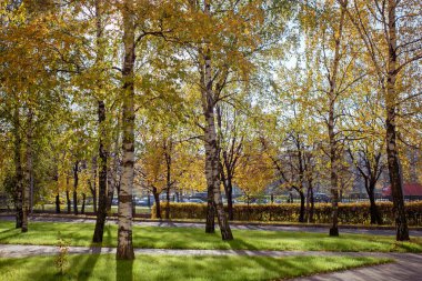 Parkta sonbahar peyzajı çalışması