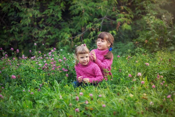 Flickor Njuter Klöver Grön Äng — Stockfoto