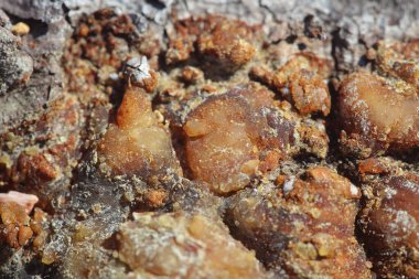 Güneş yanığı reçine dokusu