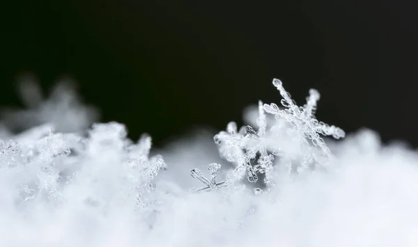 Macro View Van Sneeuwvlokken Donkere Achtergrond — Stockfoto