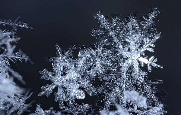 Macro Vista Copos Nieve Sobre Fondo Oscuro —  Fotos de Stock