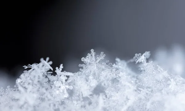 Макровид Снежинок Тёмном Фоне — стоковое фото