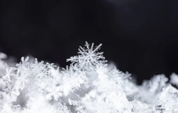 Macro View Van Sneeuwvlokken Donkere Achtergrond — Stockfoto