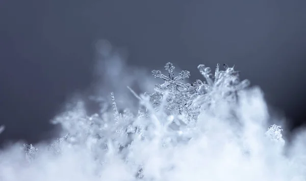 Macro Van Echte Sneeuwvlokken Prachtige Winterachtergrond — Stockfoto