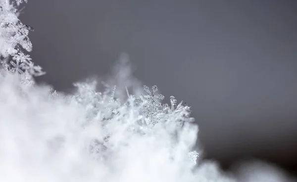 Makro Echter Schneeflocken Wunderschöner Winterhintergrund — Stockfoto